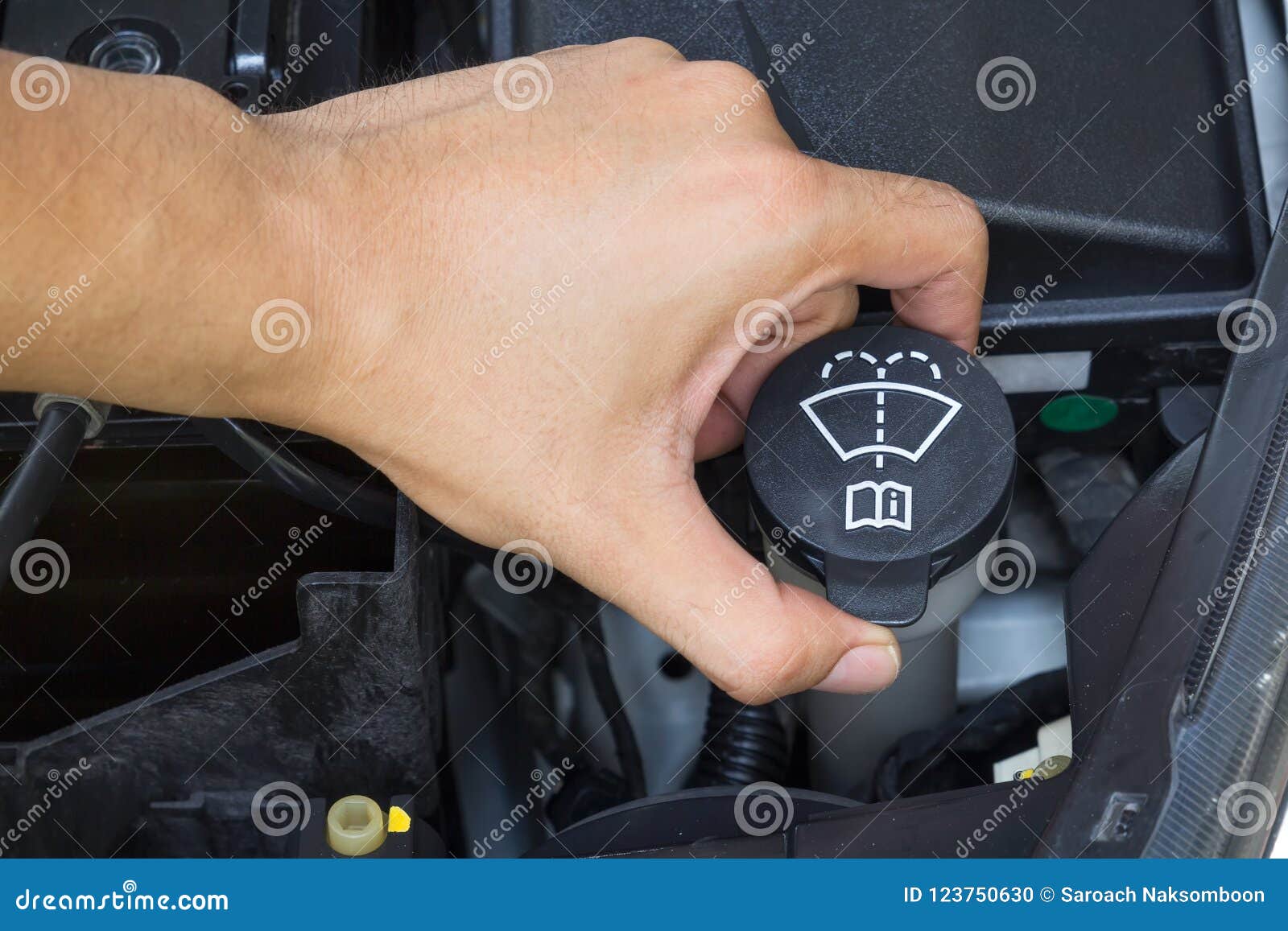 Car Repair Service, Auto Mechanic Checking Water Level In A Engine