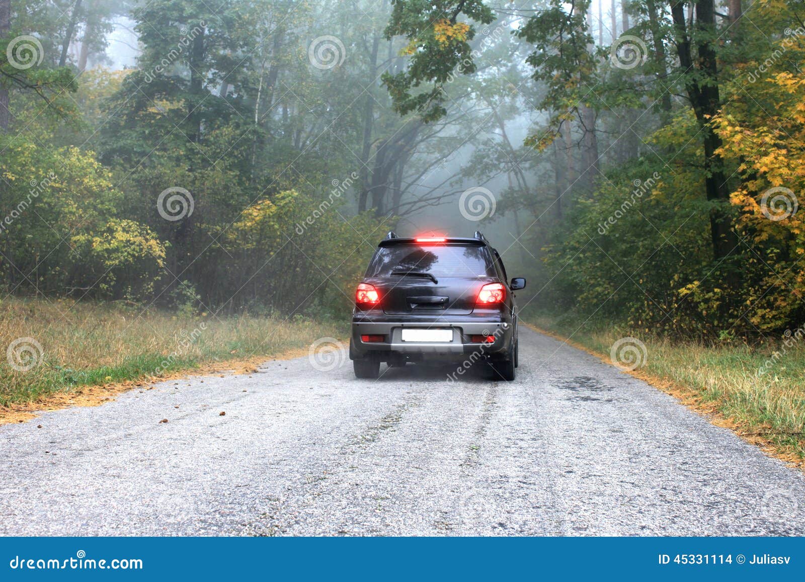Car on a Road in the Forest Stock Photo Image of europe, meadow 45331114