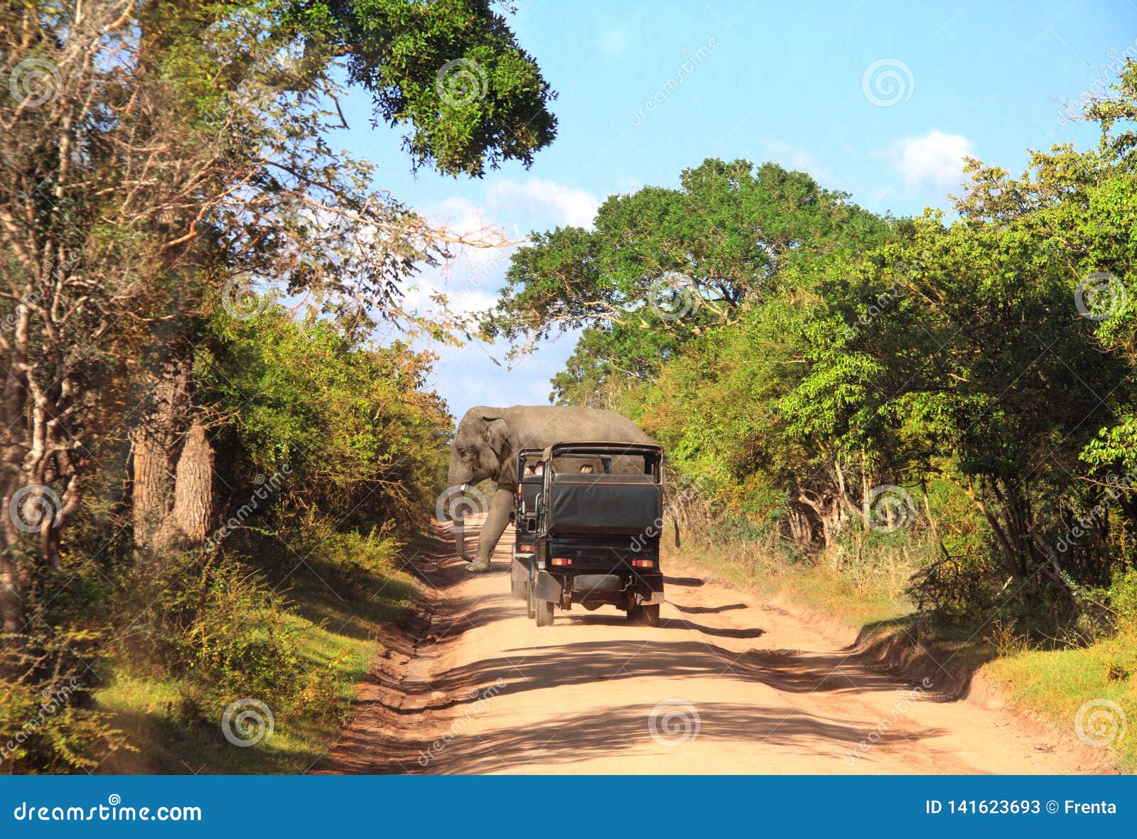 Car Safari In Yala National Park Sri Lanka Stock Image 