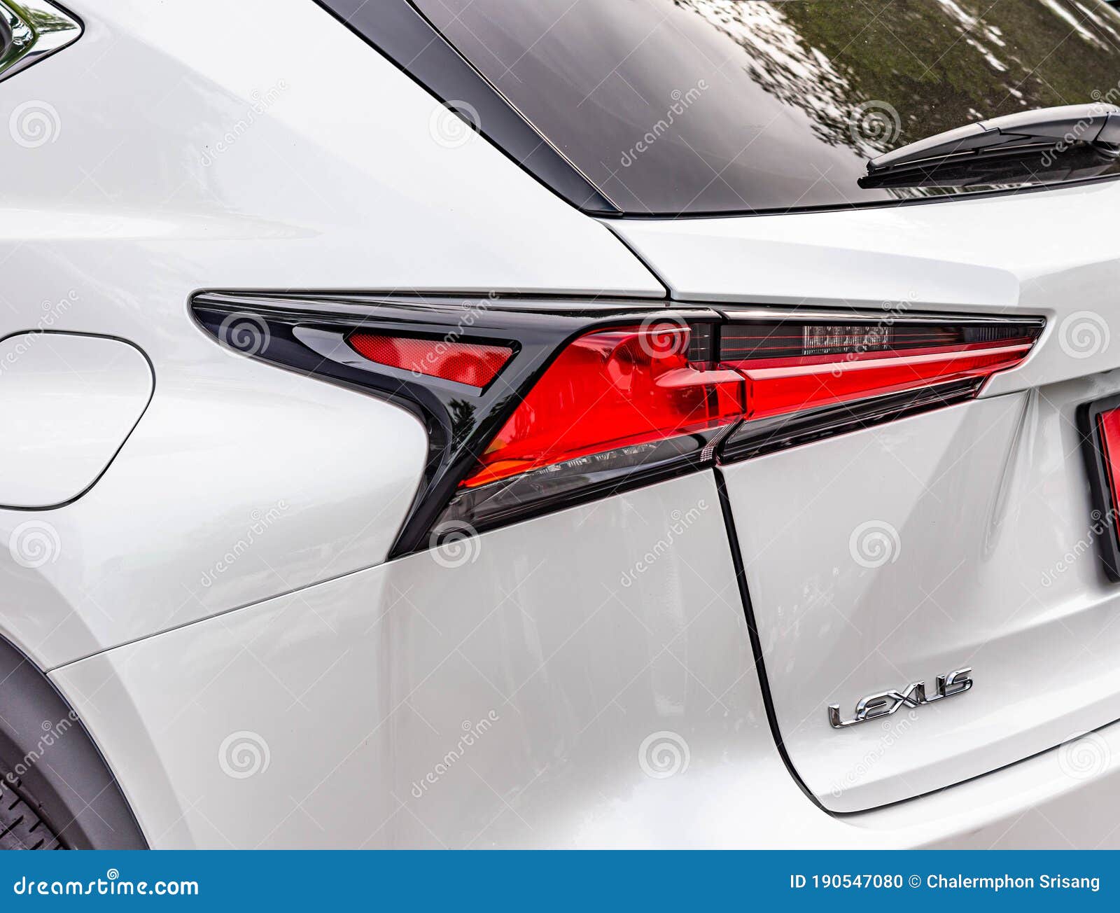 Car Tail Lights Isolated from the Background, Electric Power Lighting