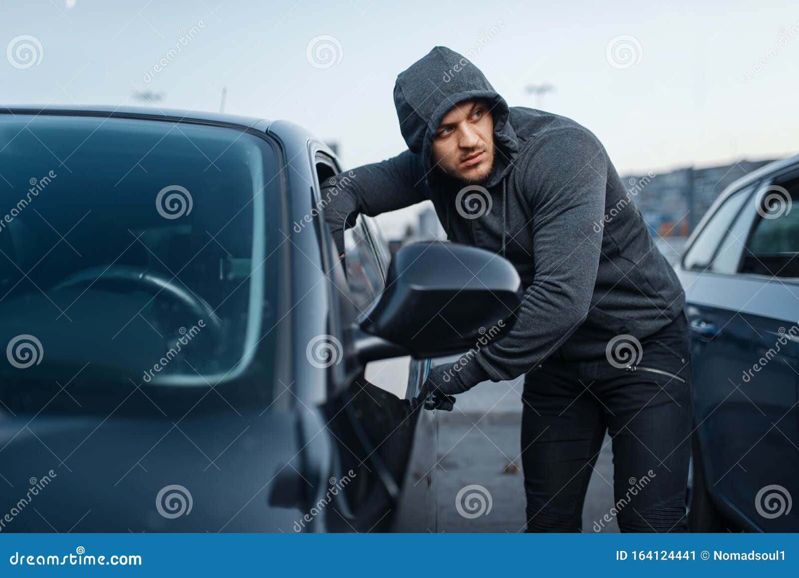 car thief 6