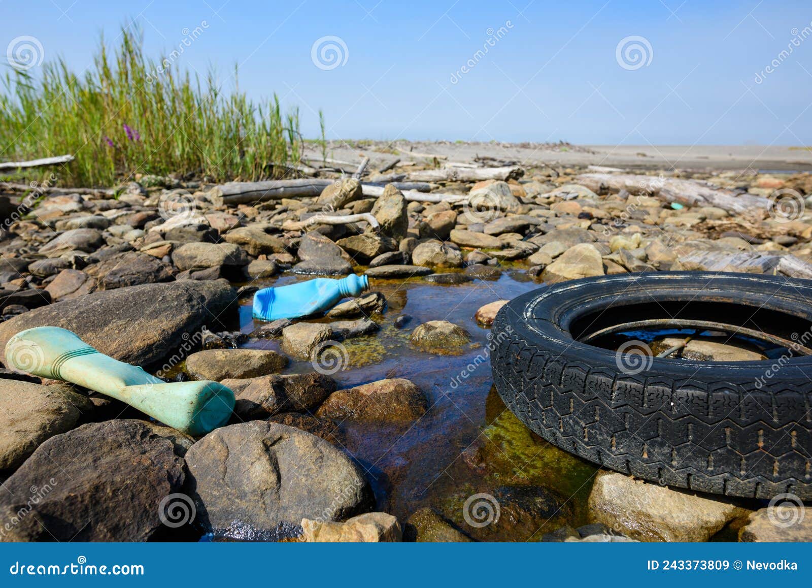 Car Tire and Plastic Bottles in Muddy Puddle on Beach
