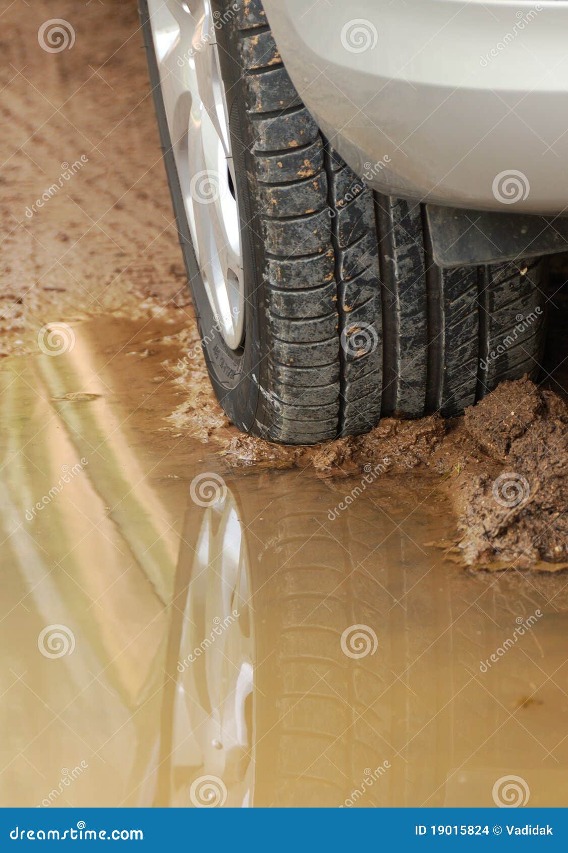 Car Wheel Reflection in Puddle after Rain Stock Photo Image of rustic