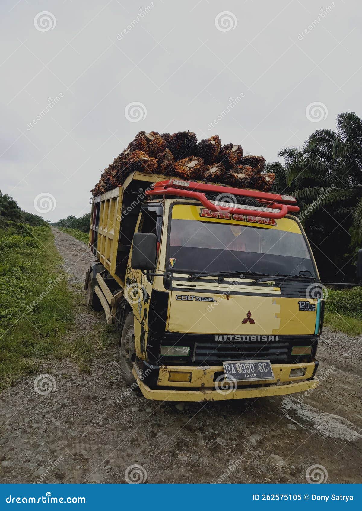 Car for work editorial image. Image of faktory, palm 262575105