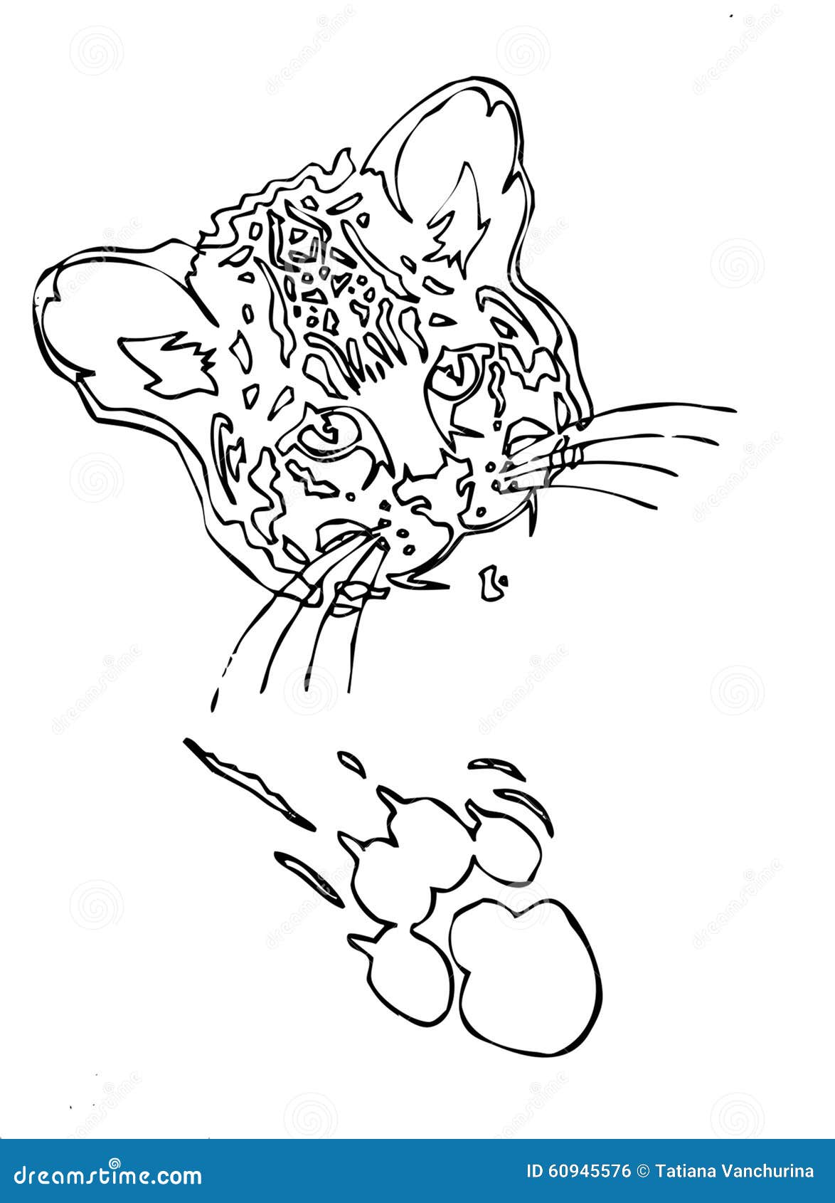 Melodious Tear Respectively Cara Del Puma O Del Jaguar Del Leopardo Con La Impresión De La Pata Ilustración del Vector - Ilustración de contorno, garra: 60945576 Melodious Tear Respectively Cara Del Puma O Del Jaguar Del Leopardo Con La Impresión De La Pata Ilustración del Vector - Ilustración de contorno, garra: 60945576