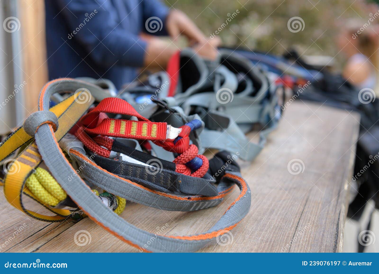 Carabiner attached to rope stock image. Image of rappelling 239076197