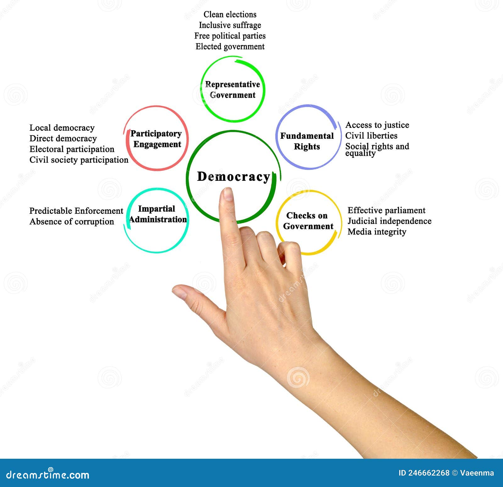 Características De La Democracia Representativa Foto de archivo - Imagen de  fundamental, acceso: 246662268, image size:1600x1551