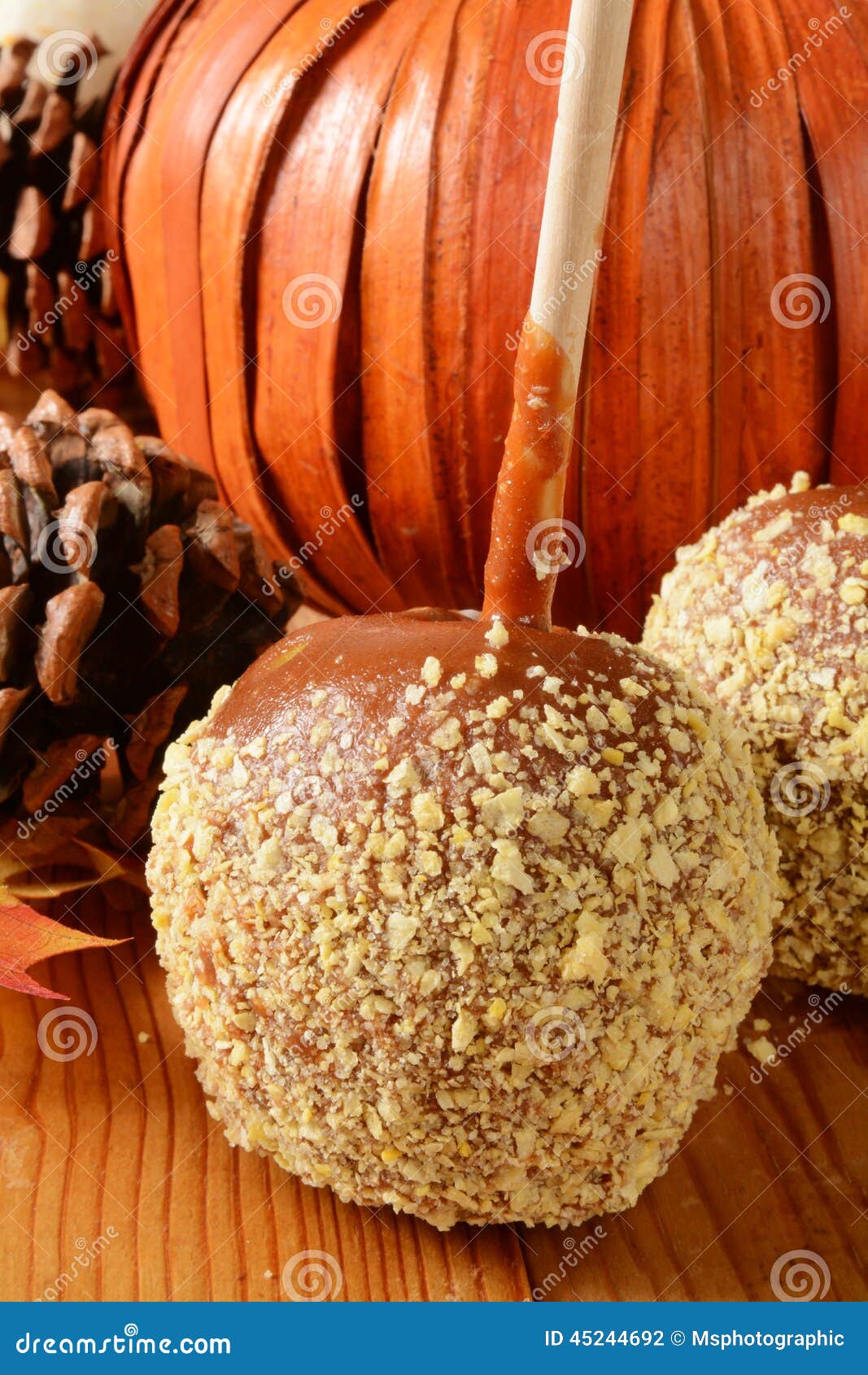 Caramel apple with nuts stock photo. Image of caramel 45244692