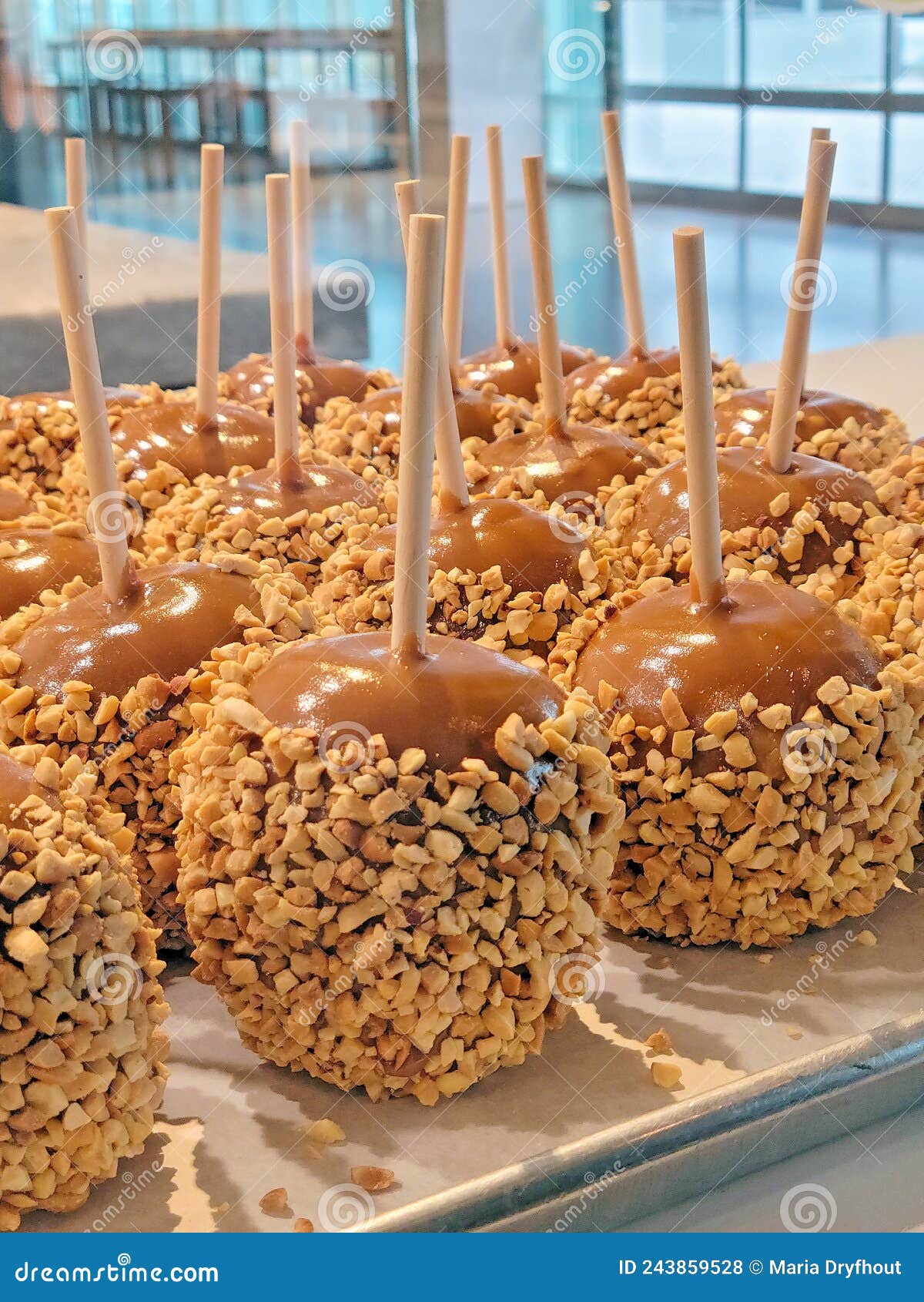 Caramel Apples with Nuts on Sticks. Close up of caramel apples on a stick with nuts