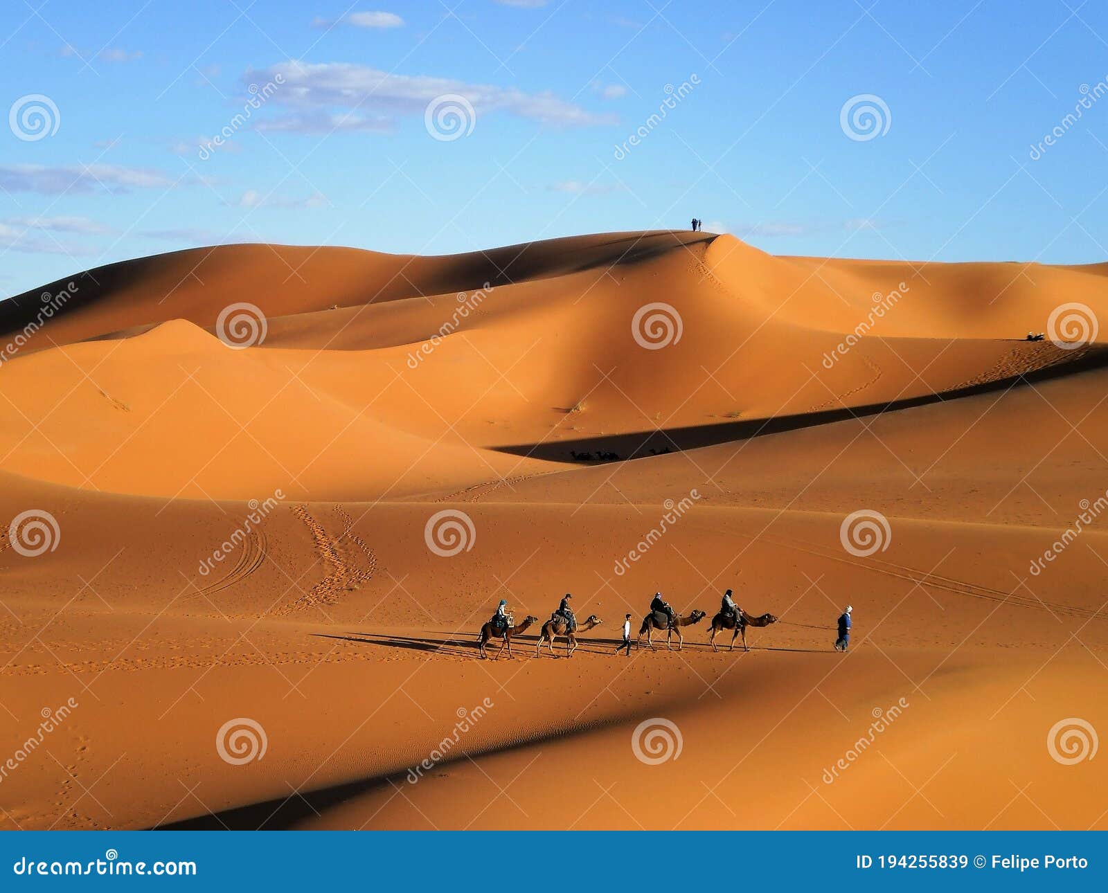 caravan in sahara desert, morocco