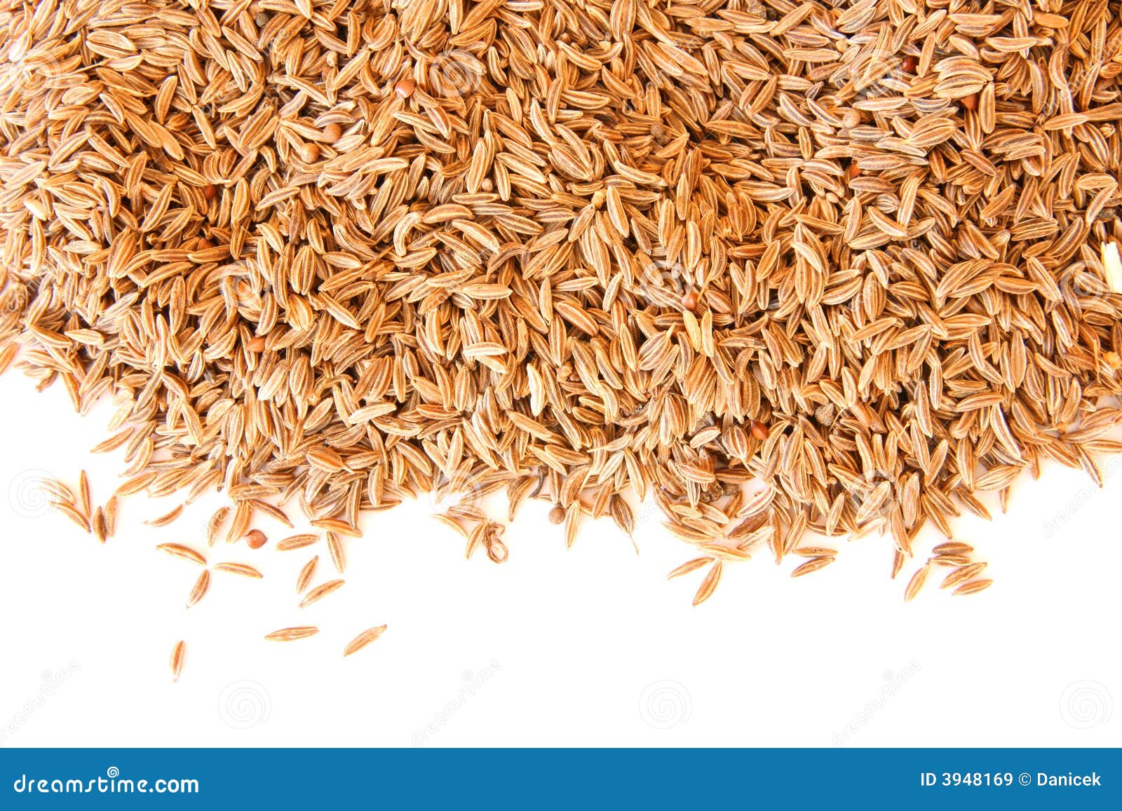 Caraway cumin seeds stock image. Image of seeds, flavour 3948169