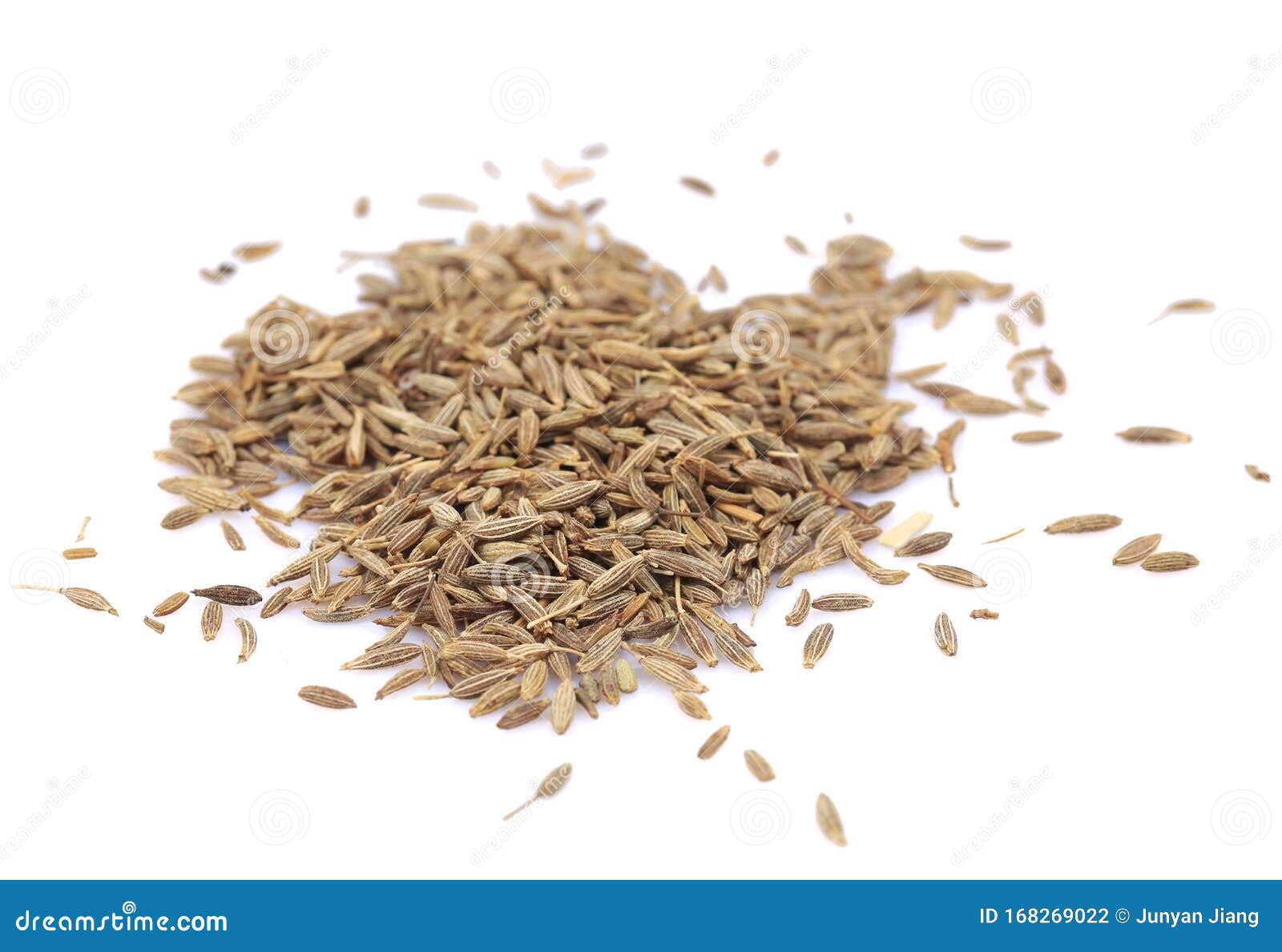 Caraway seed stock photo. Image of drink, white, close 168269022