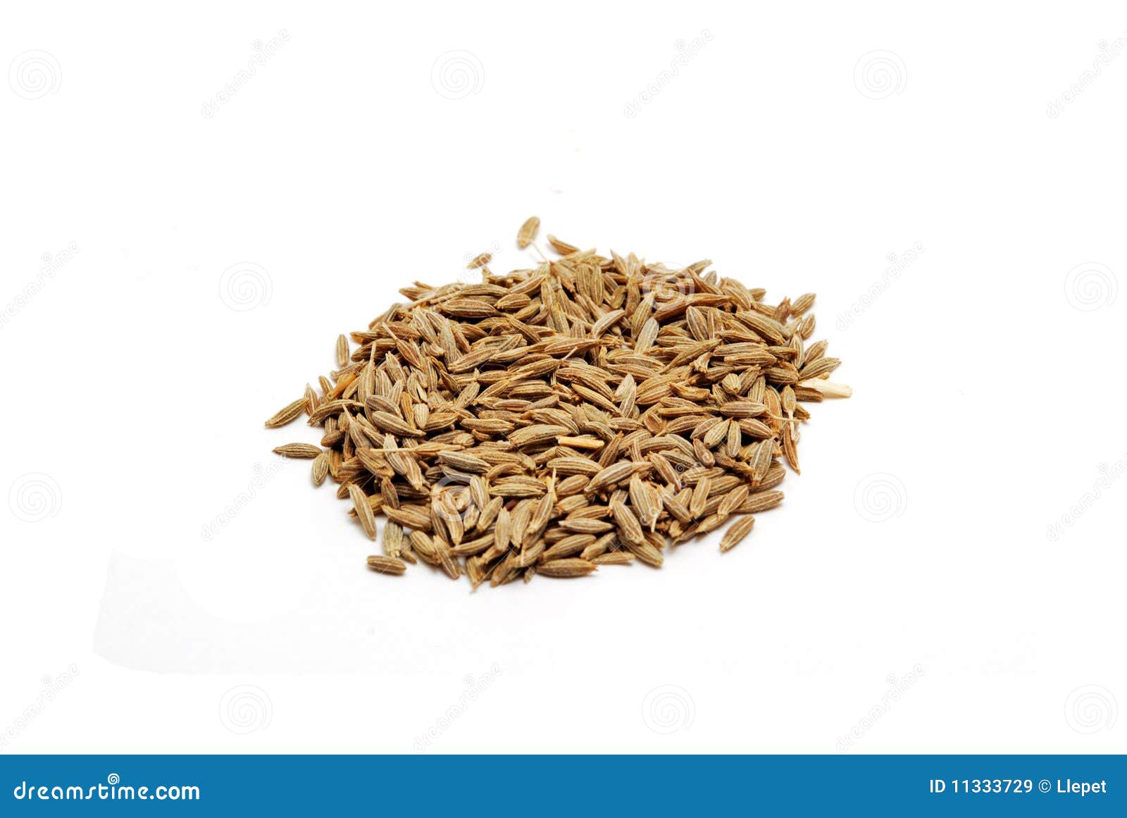 Caraway seeds stock image. Image of health, background 11333729