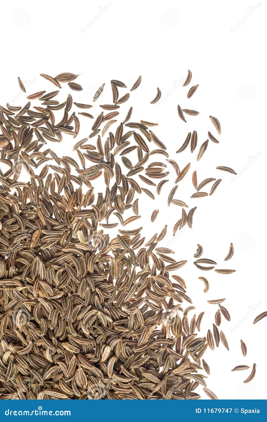 Caraway seeds stock image. Image of image, kernel, ingredient 11679747