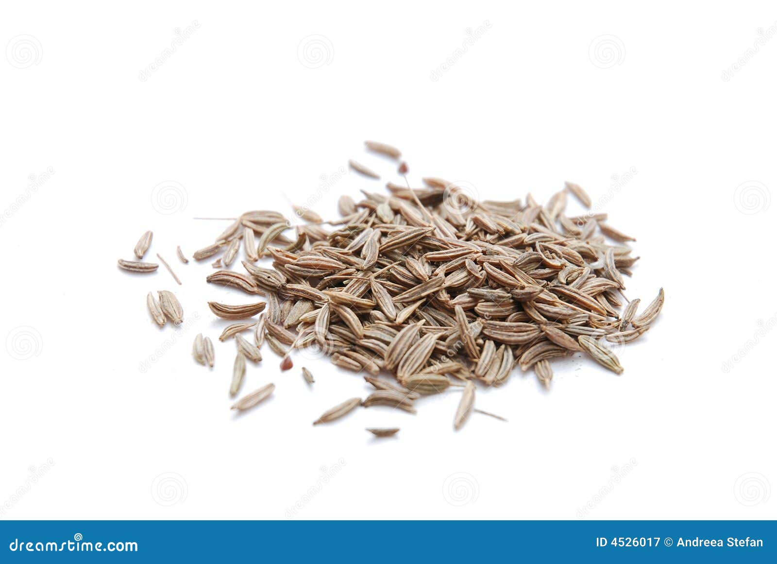 Caraway Seeds stock image. Image of europe, natural, pods 4526017