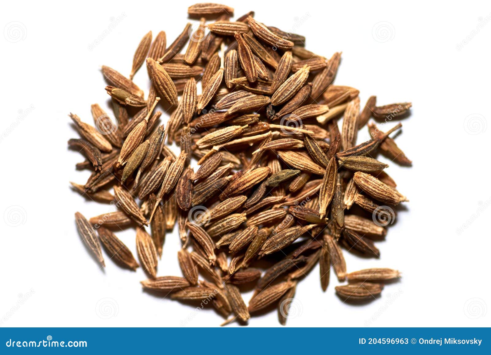 Caraway Seeds on White Background Stock Image Image of food, isolated