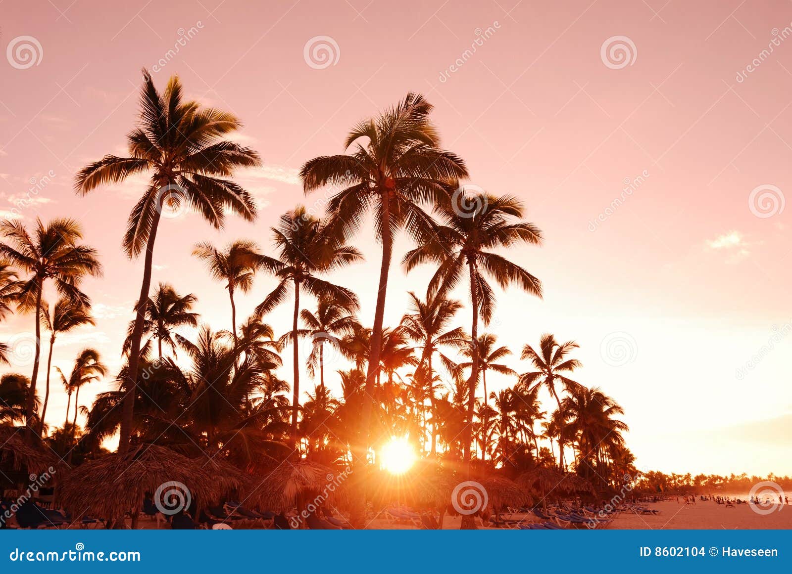 Caraïbische zonsondergang. Mooie Caraïbische strandzonsondergang in Dominicaanse Republiek