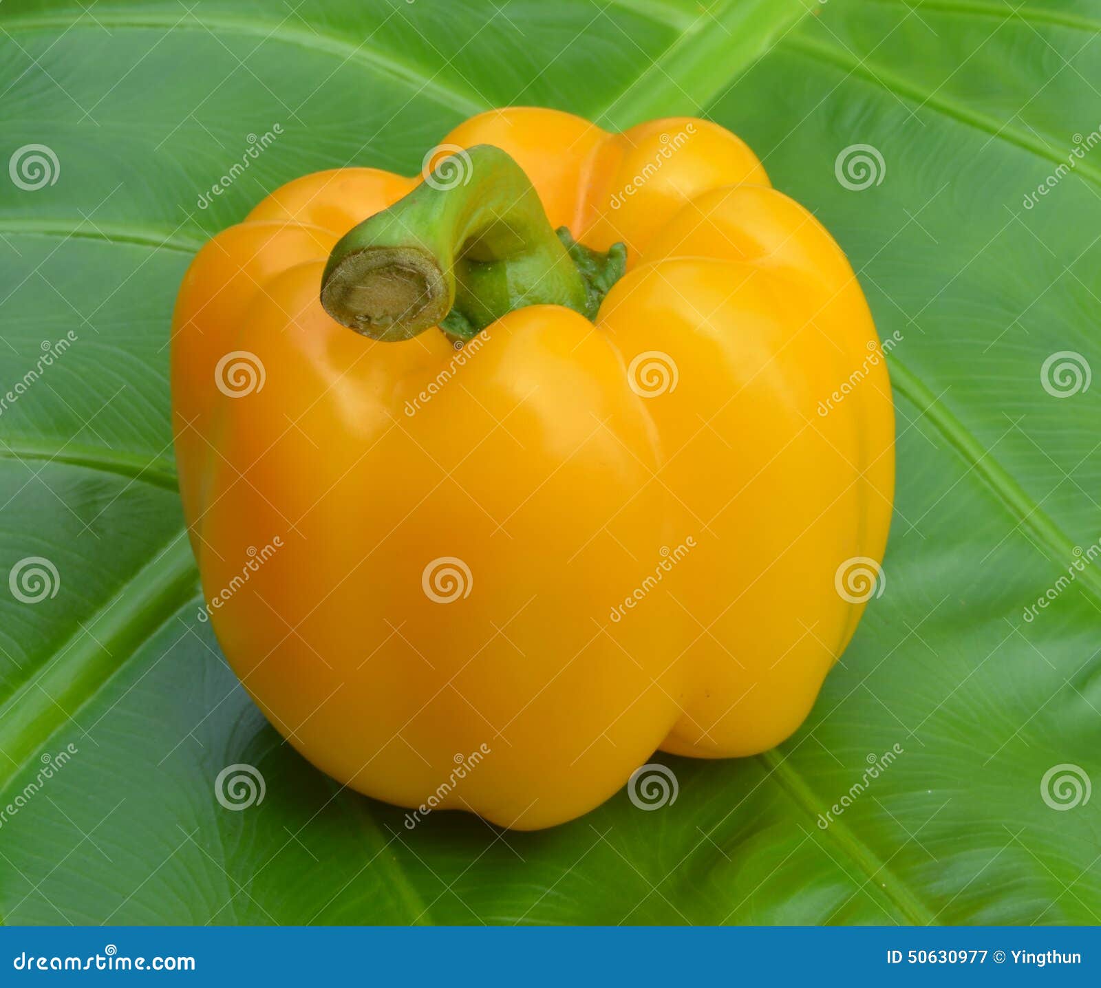 Carbon Yellow Sweet Peppers on a Green Leaf. Stock Image Image of