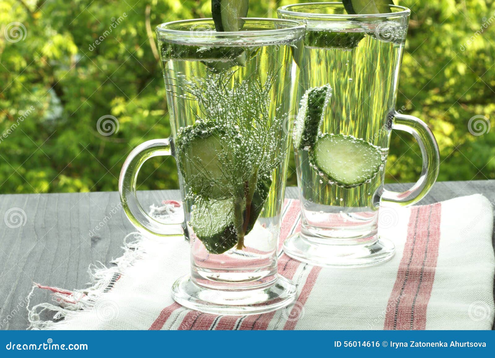 Carbonated Bottled Water With Cucumber Dill Stock Photo Image of cucumber, cool 56014616