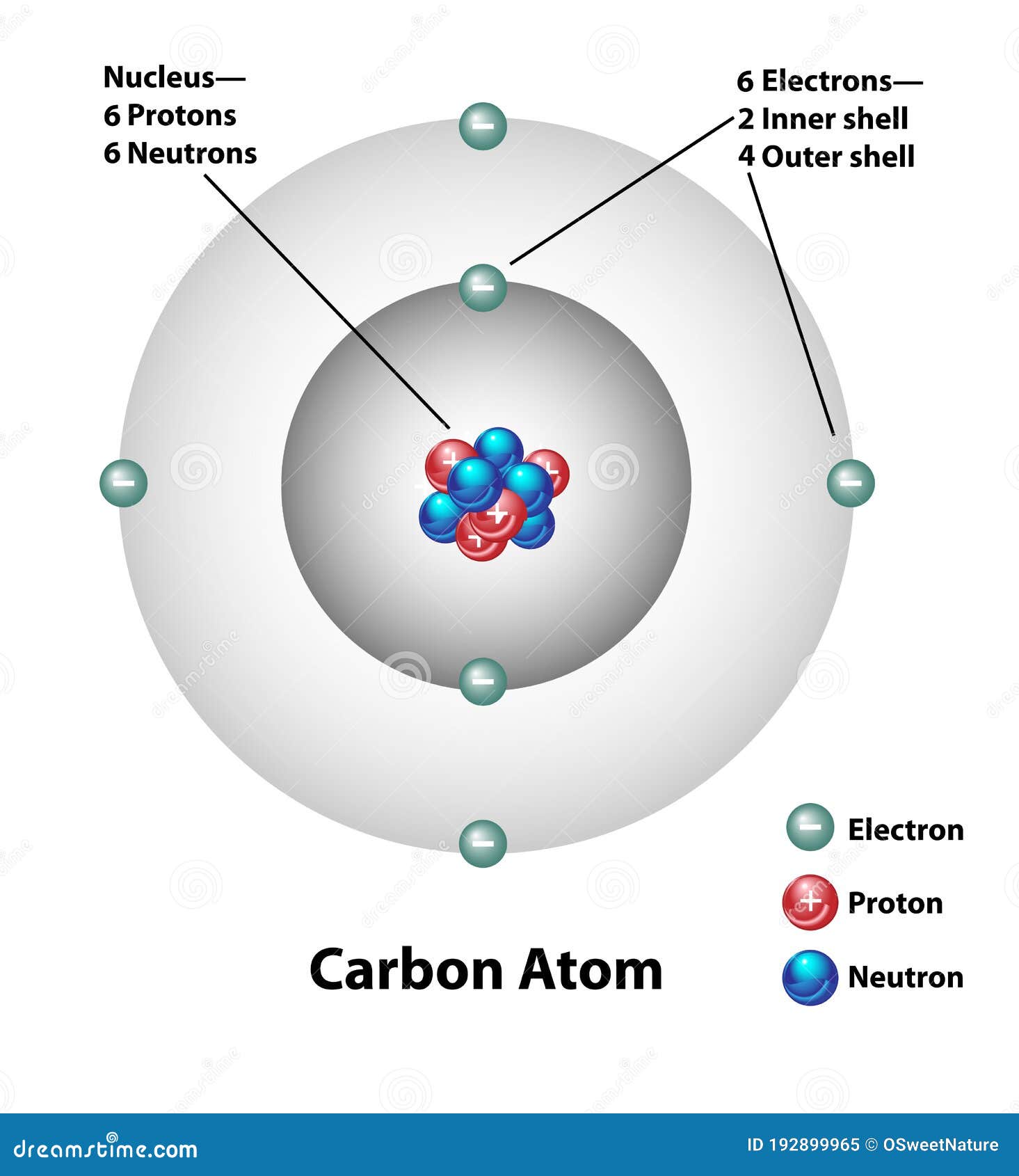 draw-and-label-a-carbon-atom-my-xxx-hot-girl