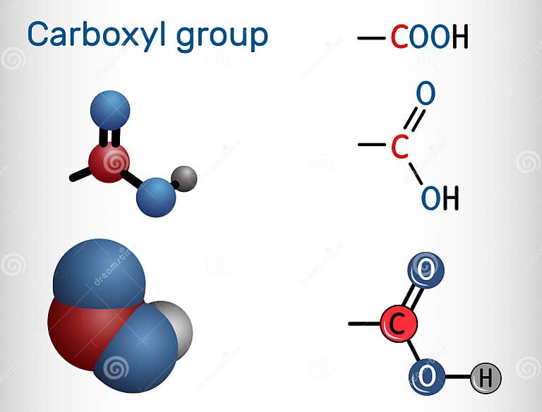 carboxyl-carboxy-group-functional-group-is-defined-as-carbonyl-and