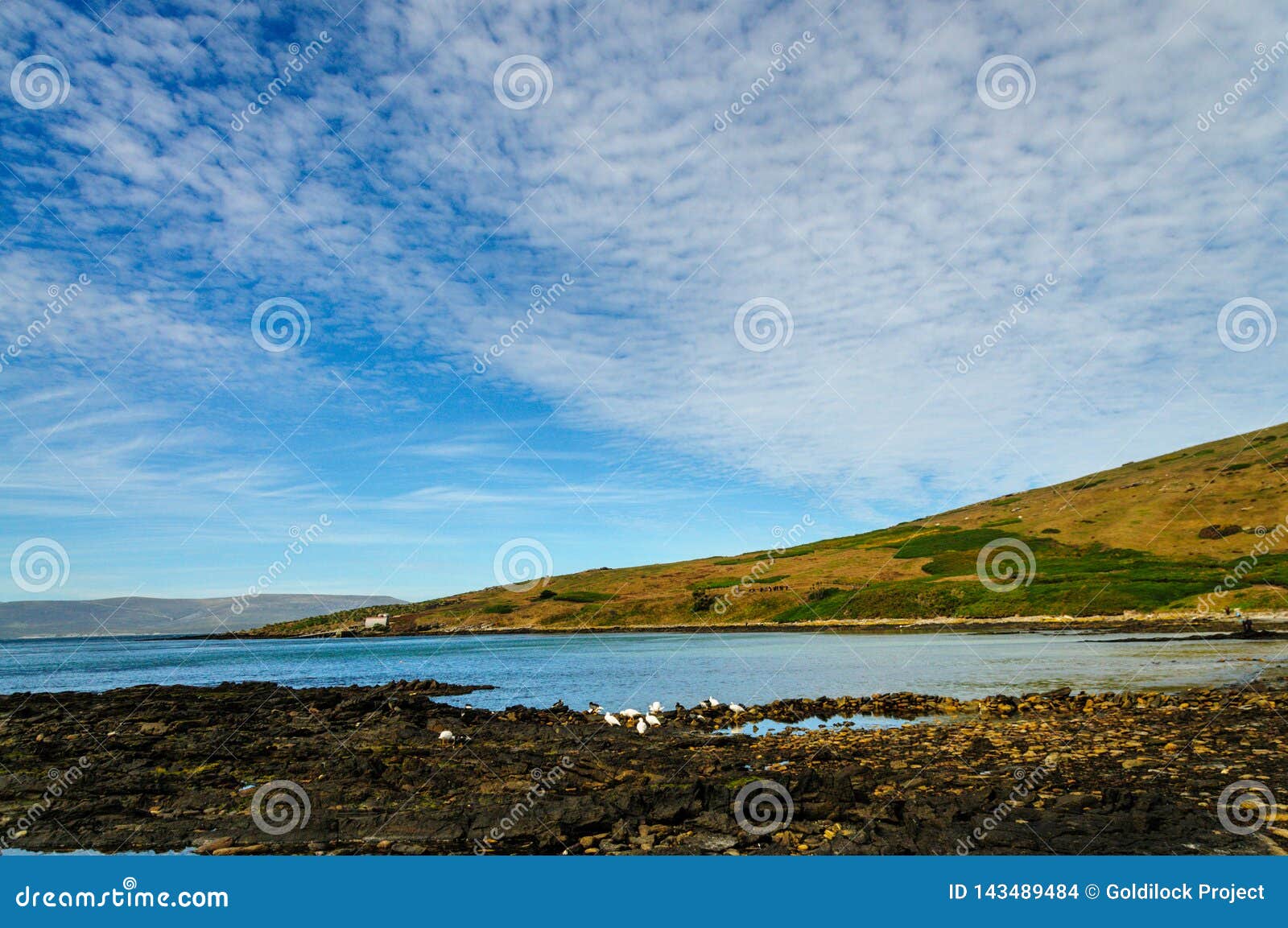 the carcass island coastline.