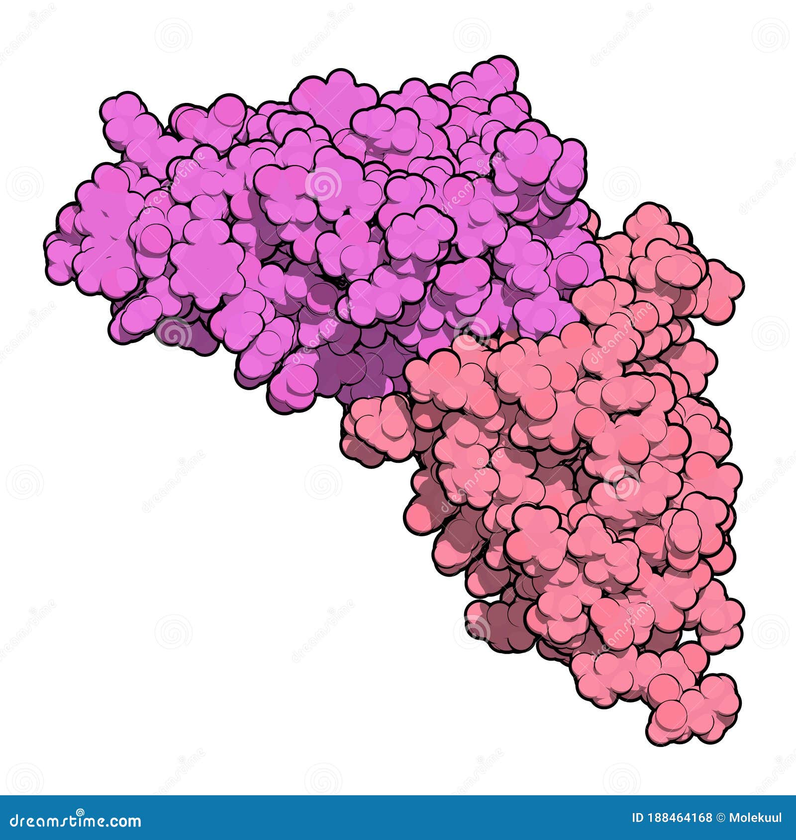 carcinoembryonic antigen (cea, ceacam5, n-terminal domain). used as tumor biomarkerin some forms of cancer. 3d rendering based on