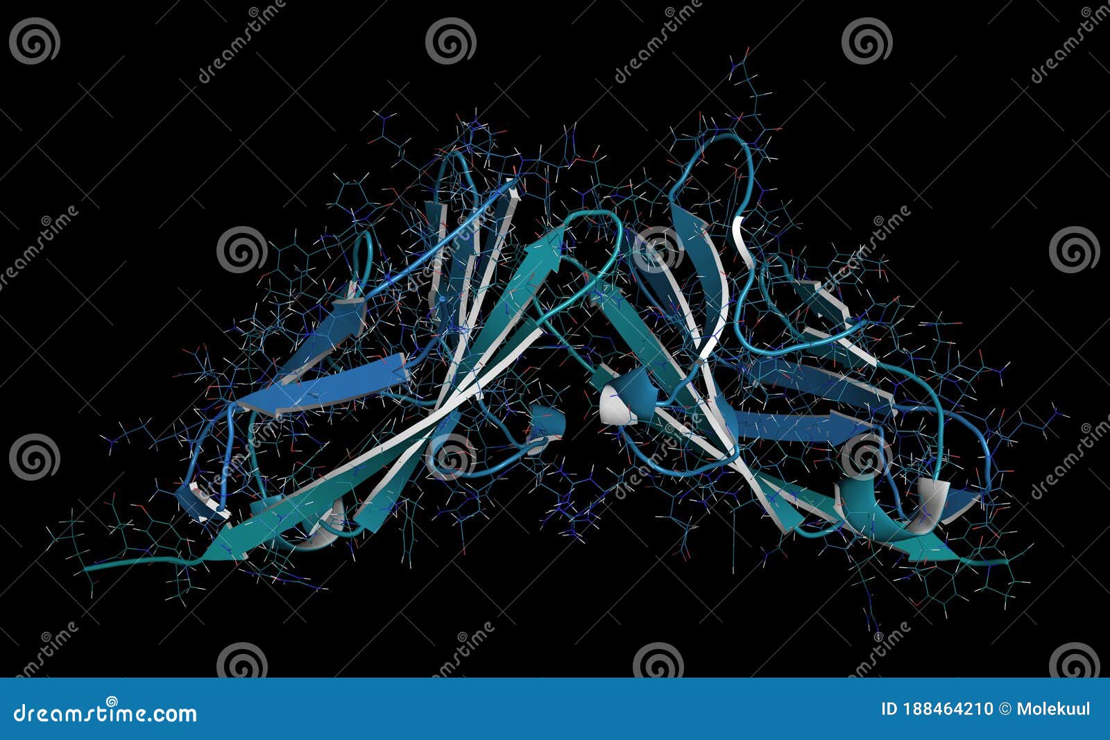 carcinoembryonic antigen (cea, ceacam5, n-terminal domain). used as tumor biomarkerin some forms of cancer. 3d rendering based on
