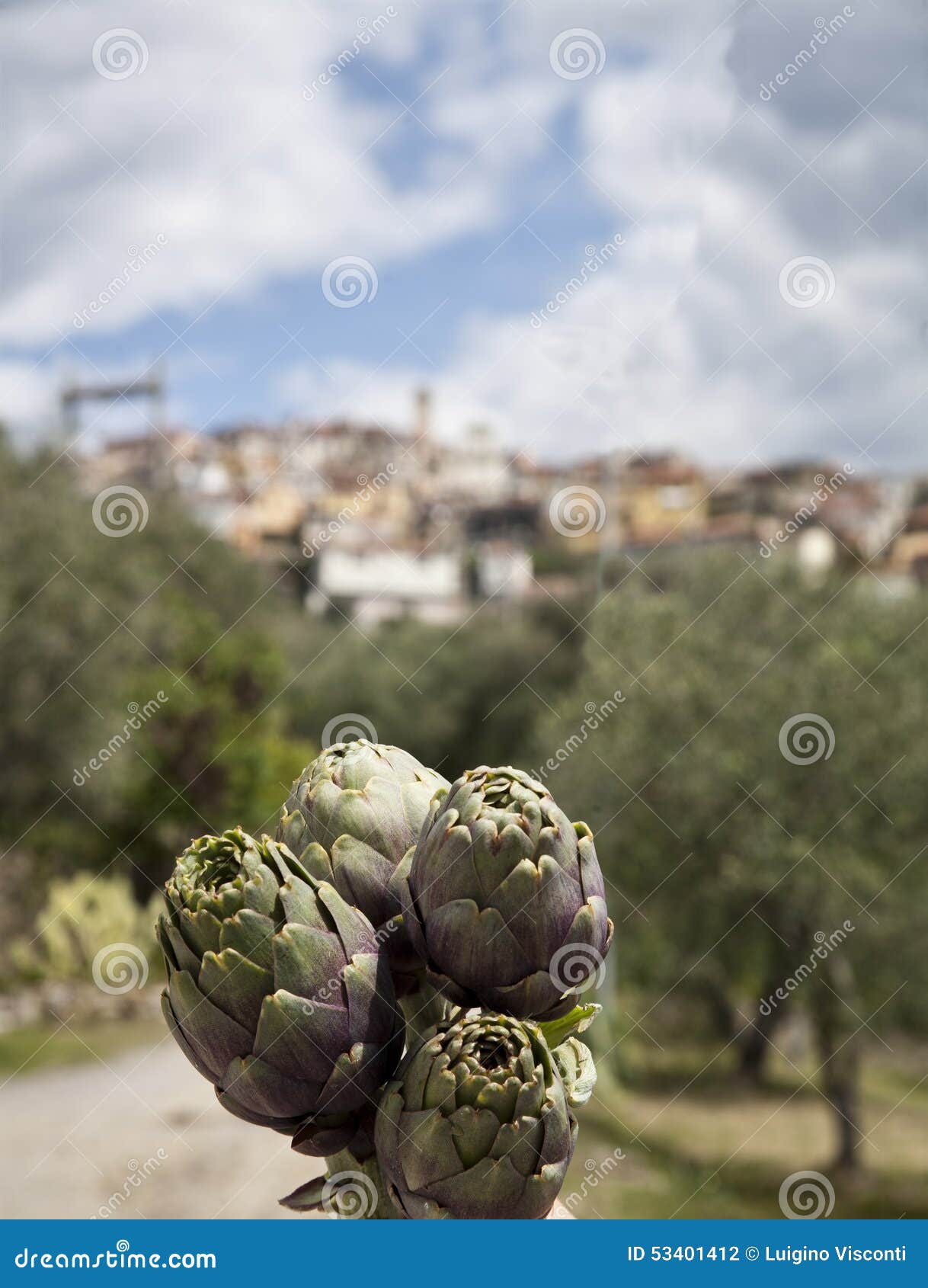 Carciofi in Italia. Alimento ligure tipico, i carciofi di Perinaldo, Italia