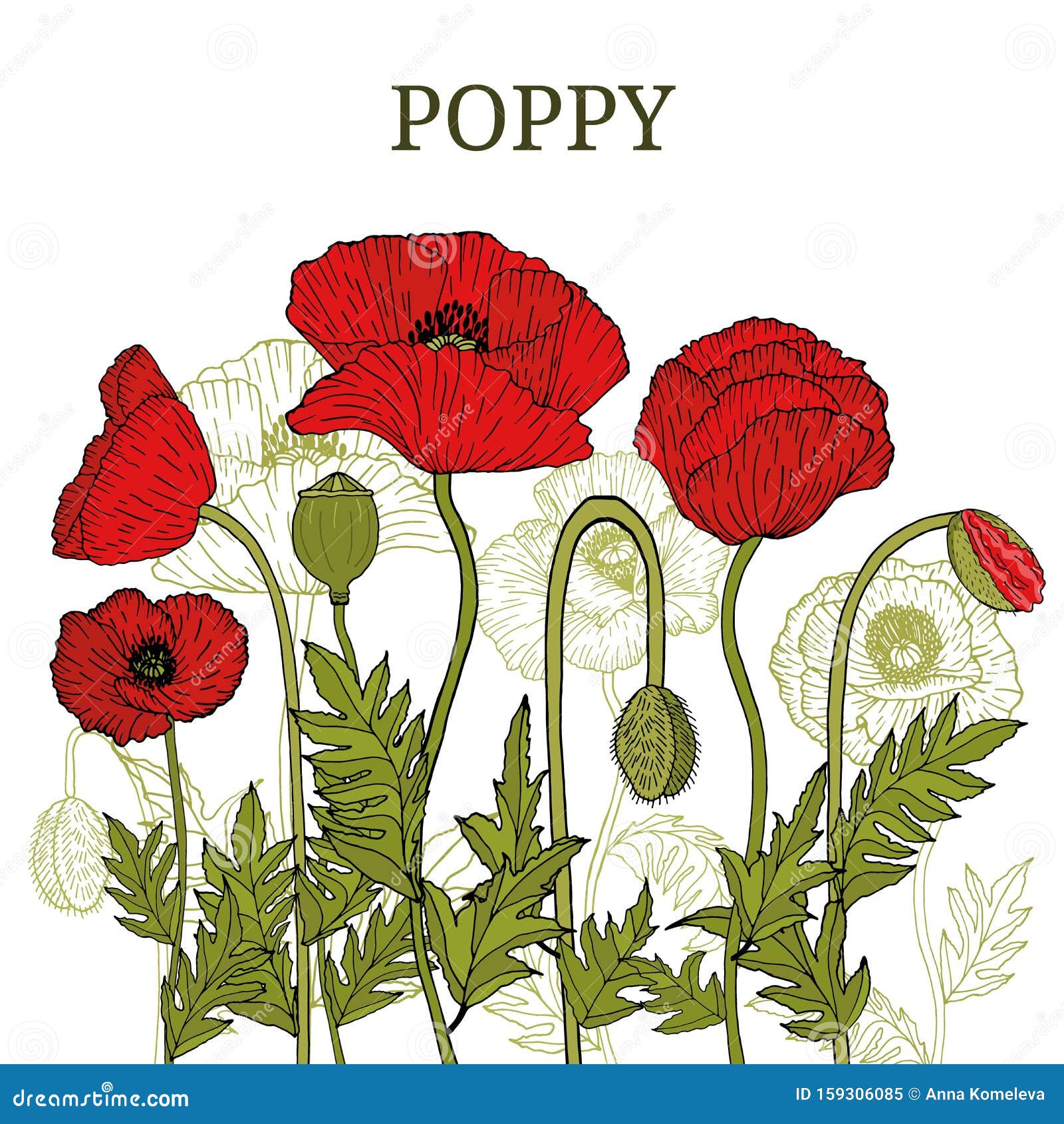 Card Template Banner Hand Drawing Of Leaves Flowers Of Red Poppy Stock Illustration Illustration Of Flower Miscellaneous