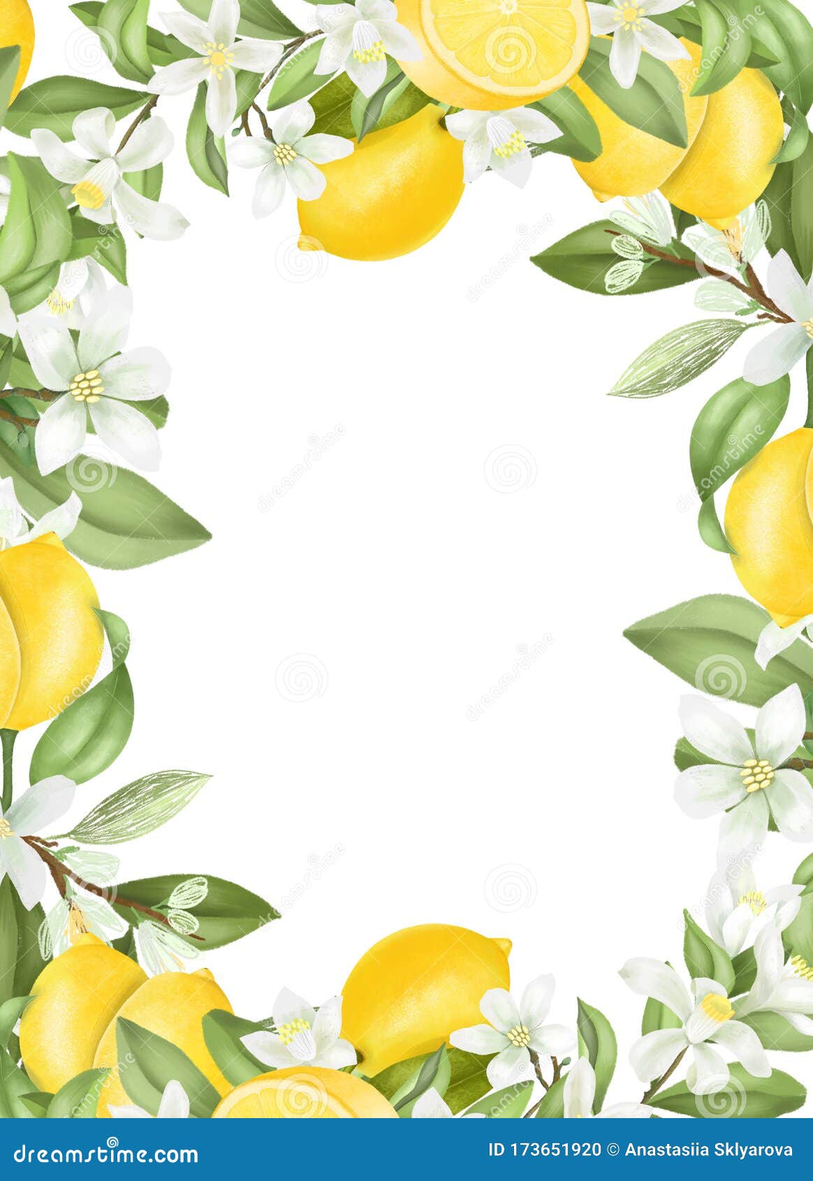 Card Template Frame Of Hand Drawn Blooming Lemon Tree Branches Stock Illustration Illustration Of Fruit Blossom 173651920
