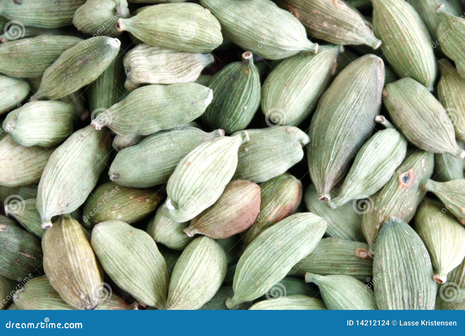 Cardamom stock photo. Image of indoor, medicinal, ayurveda 14212124