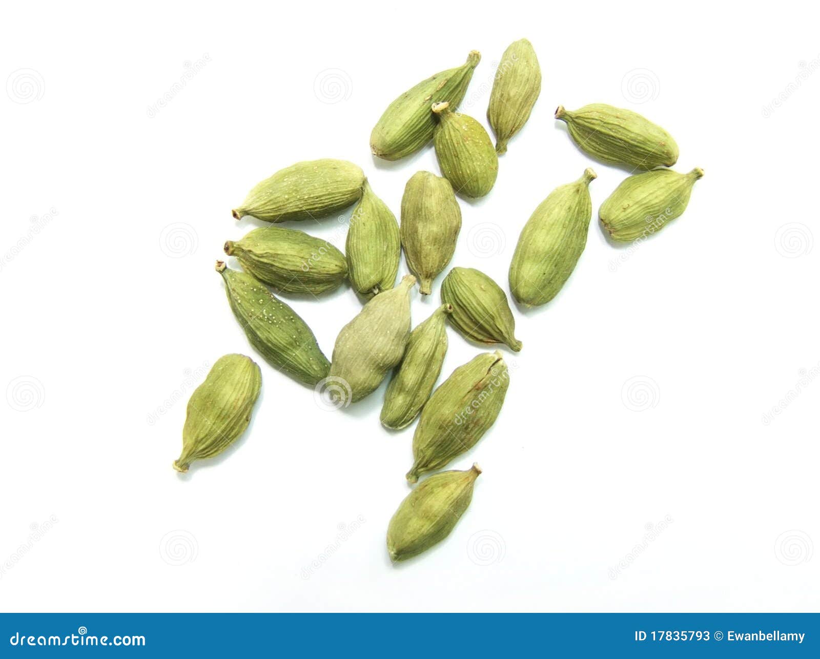 Cardamom stock image. Image of pods, spice, plant, cardamom 17835793