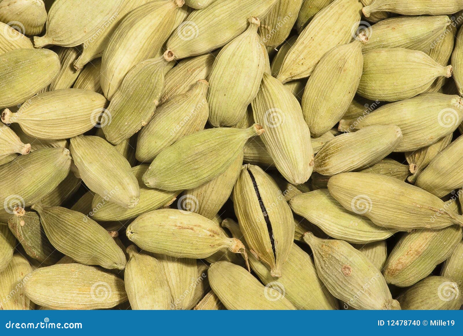 Cardamom Pods stock photo. Image of herbal, eastern, food 12478740