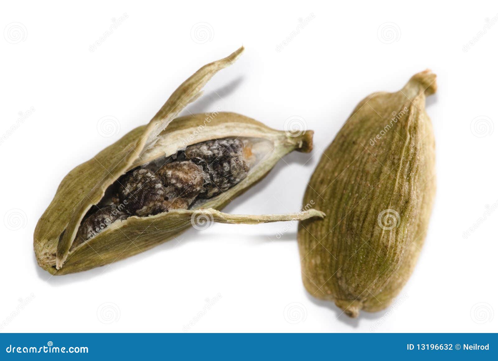 Cardamom Pods stock photo. Image of pods, white, vegetarian 13196632