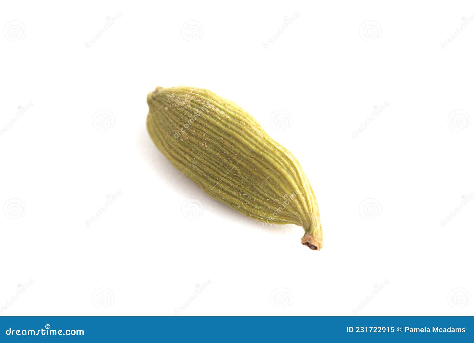 Cardamom Pods Isolated on a White Background Stock Image Image of