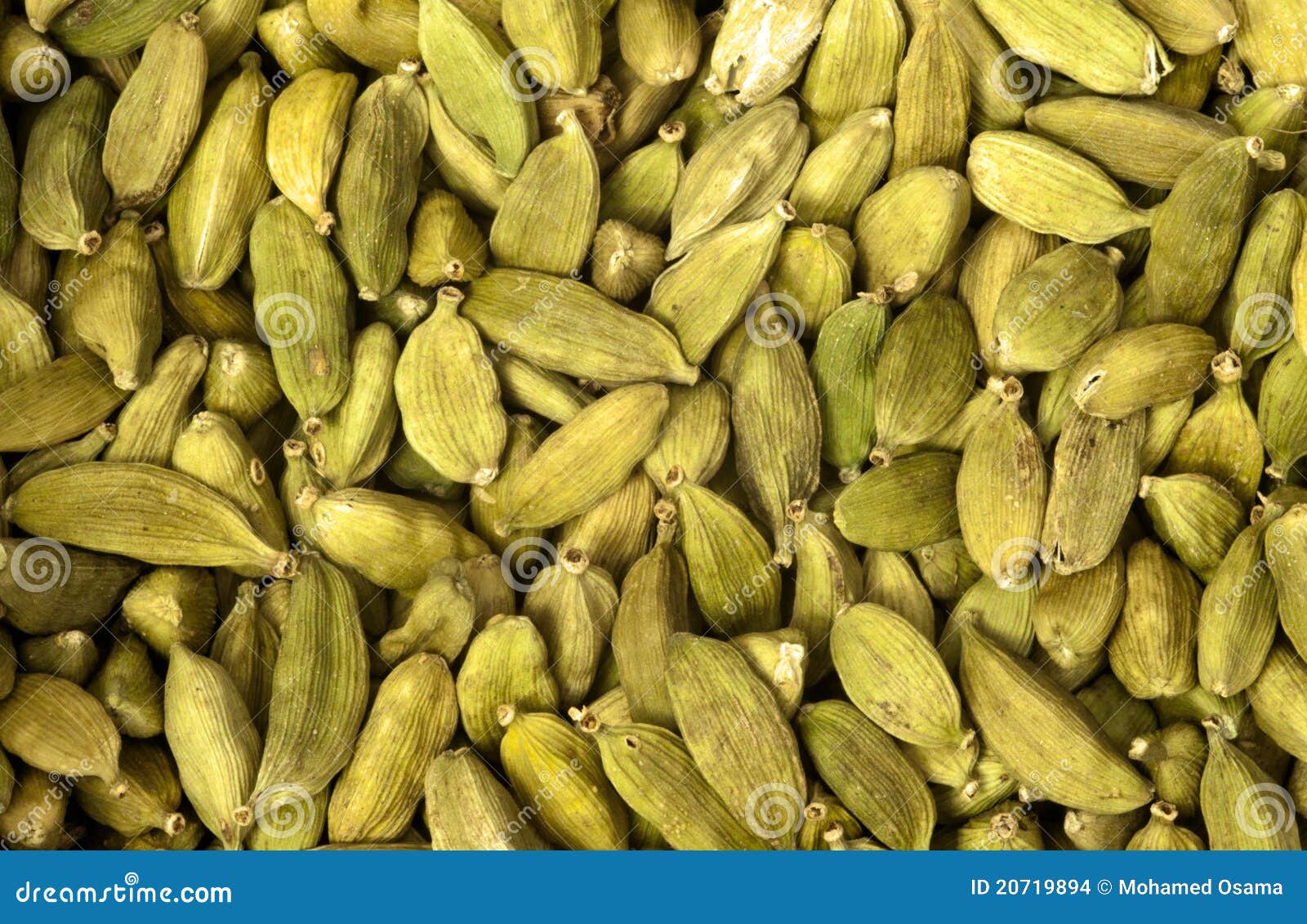 Cardamom Seeds stock photo. Image of flavoring, exotic 20719894
