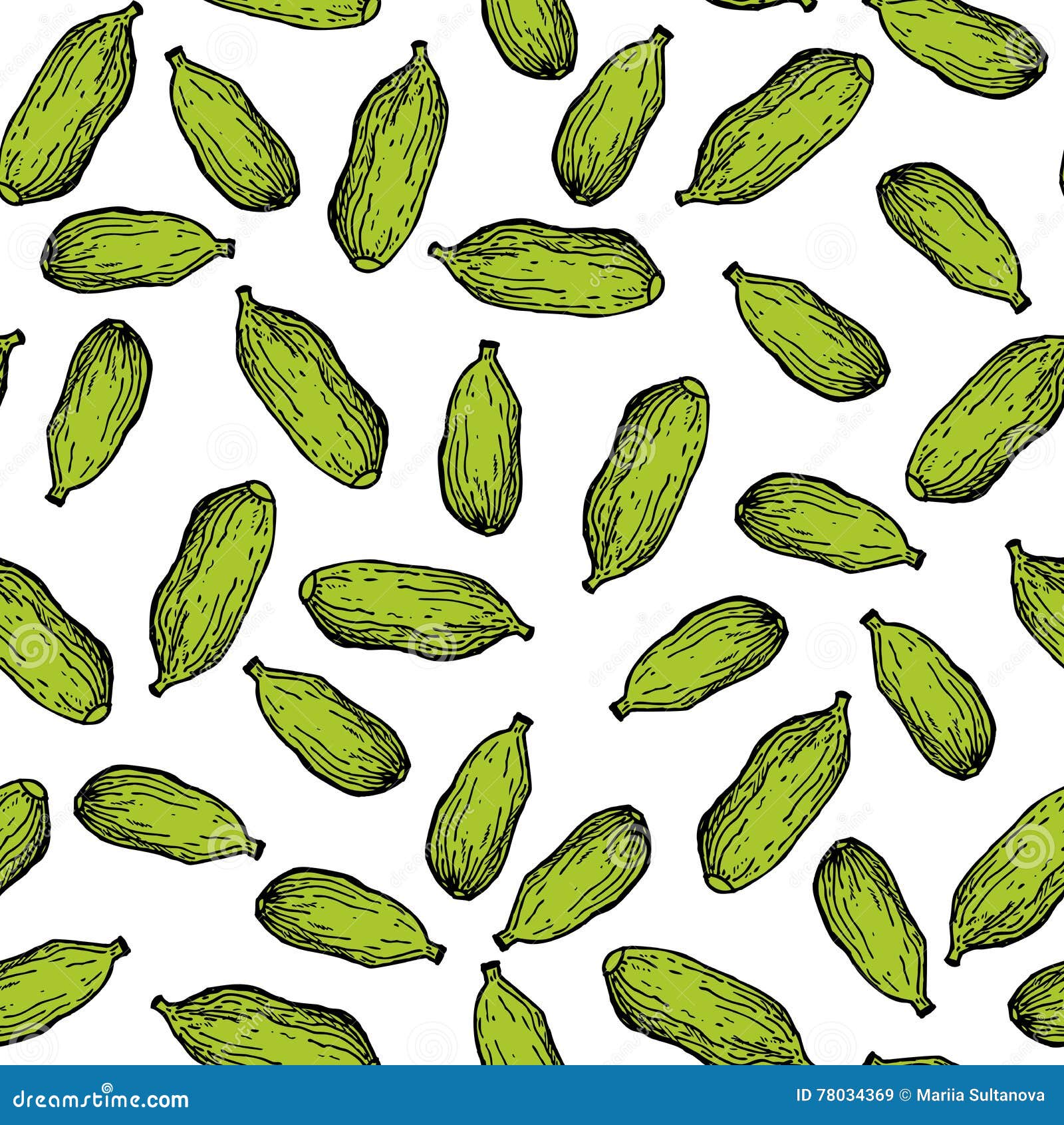 cardamom  hand drawn seamless pattern. spice obje