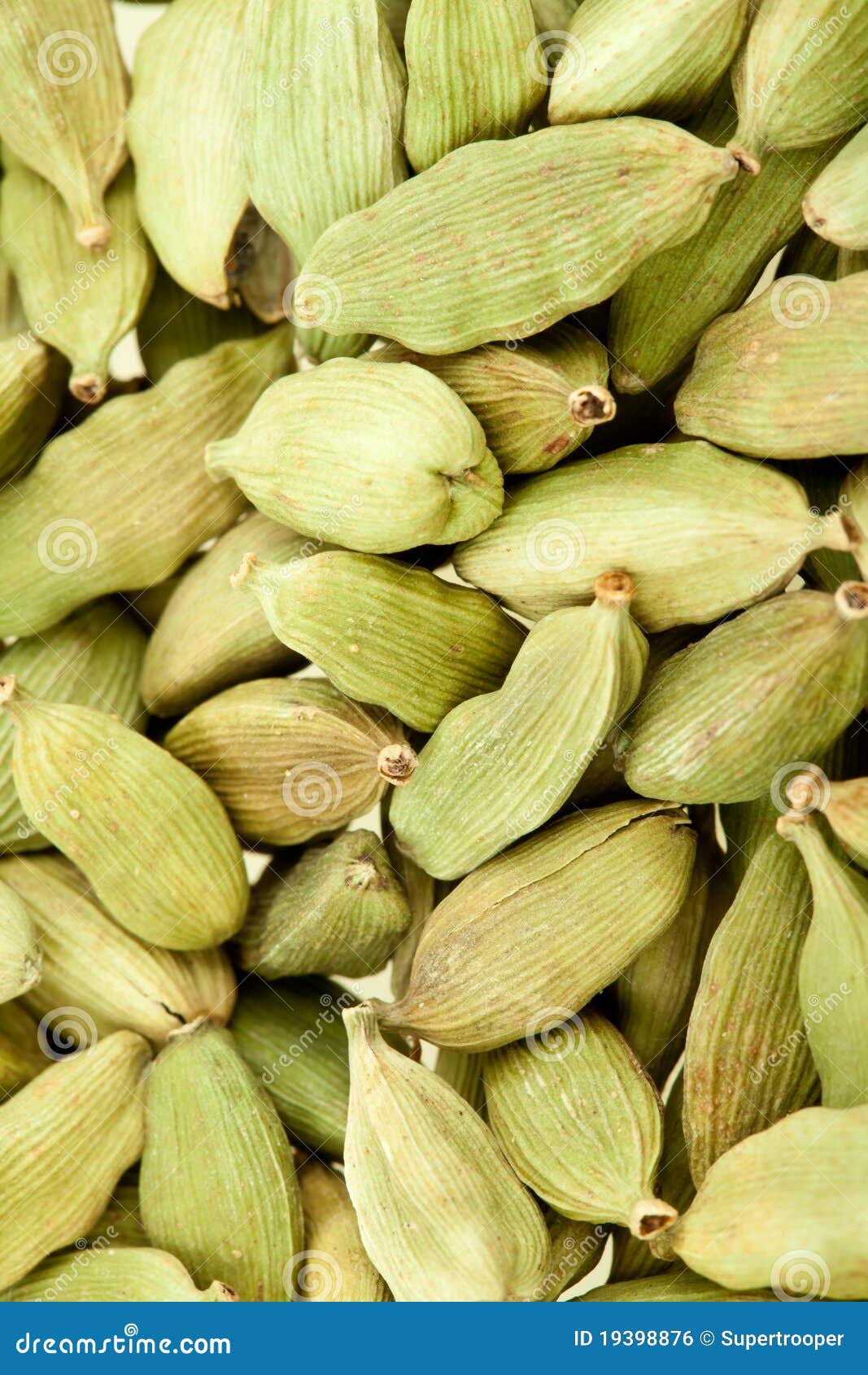 Cardamom whole stock photo. Image of diet, indian, comestibles 19398876