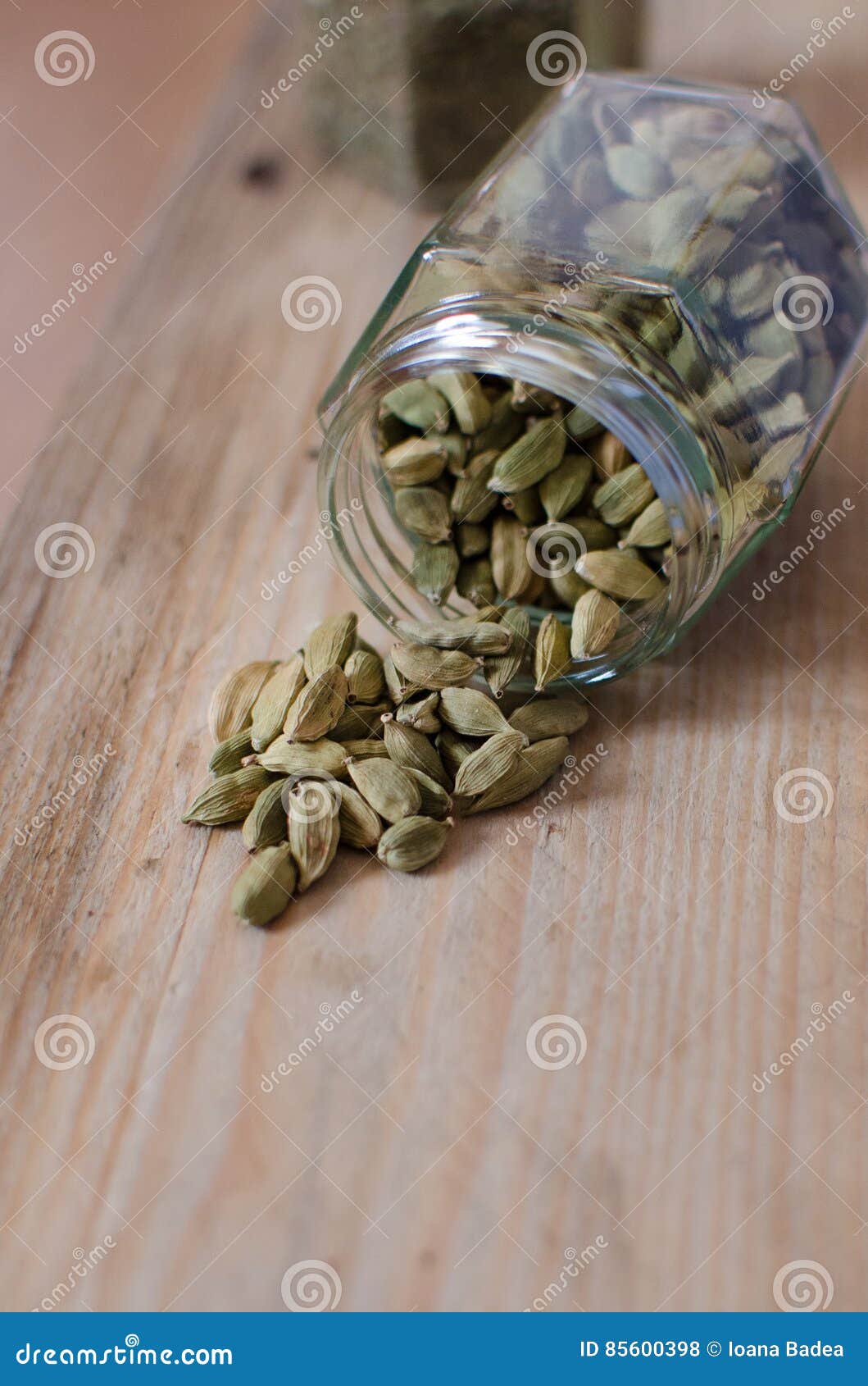 Cardamon seeds in a jar stock photo. Image of gourmet 85600398