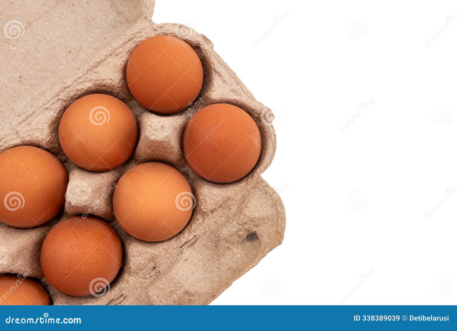 cardboard box with chicken eggs on white background. eco-friendly egg packaging isolate