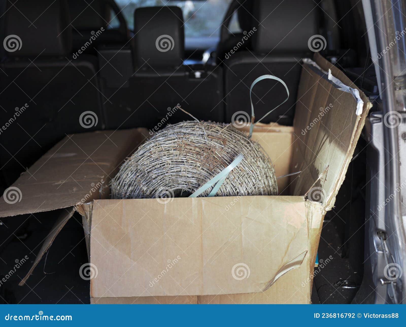 Barbed wire in a car stock photo. Image of roll, barbed 236816792