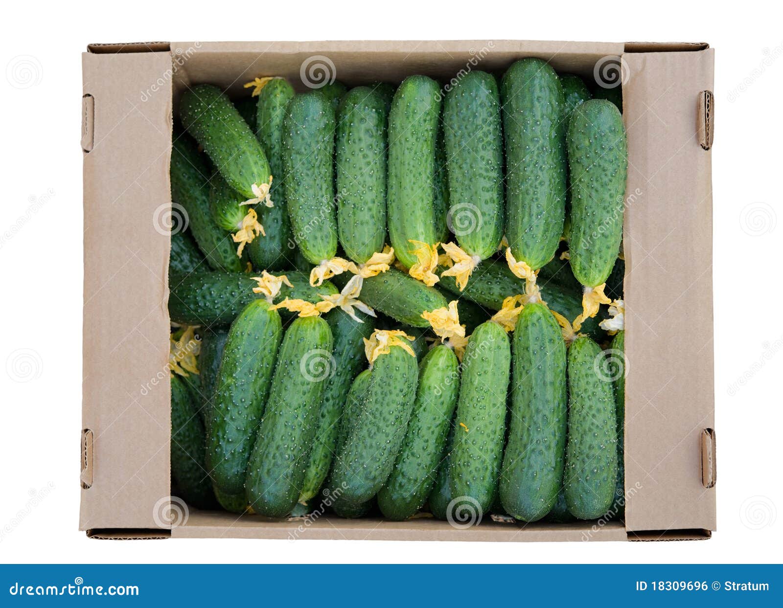 cardboard box with cucumbers