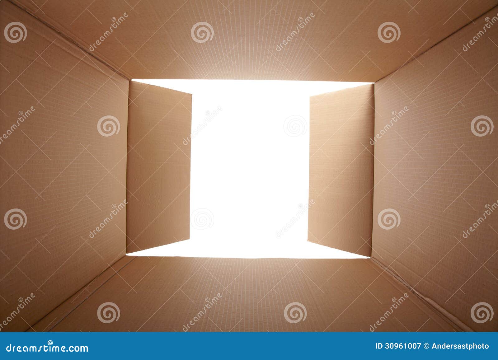 cardboard box, inside view