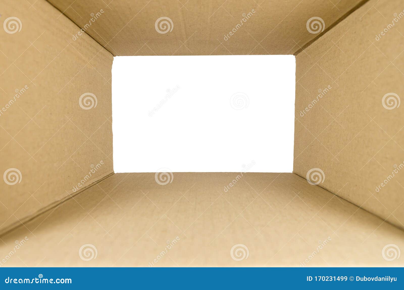 Download Cardboard Box For Parcels Inside With Clipping Path, Look ...