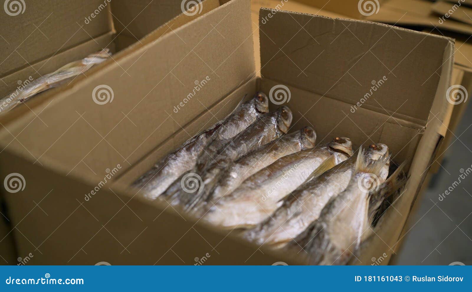 Cardboard Boxes with Fish Inside. Dried Fish at the Warehouse