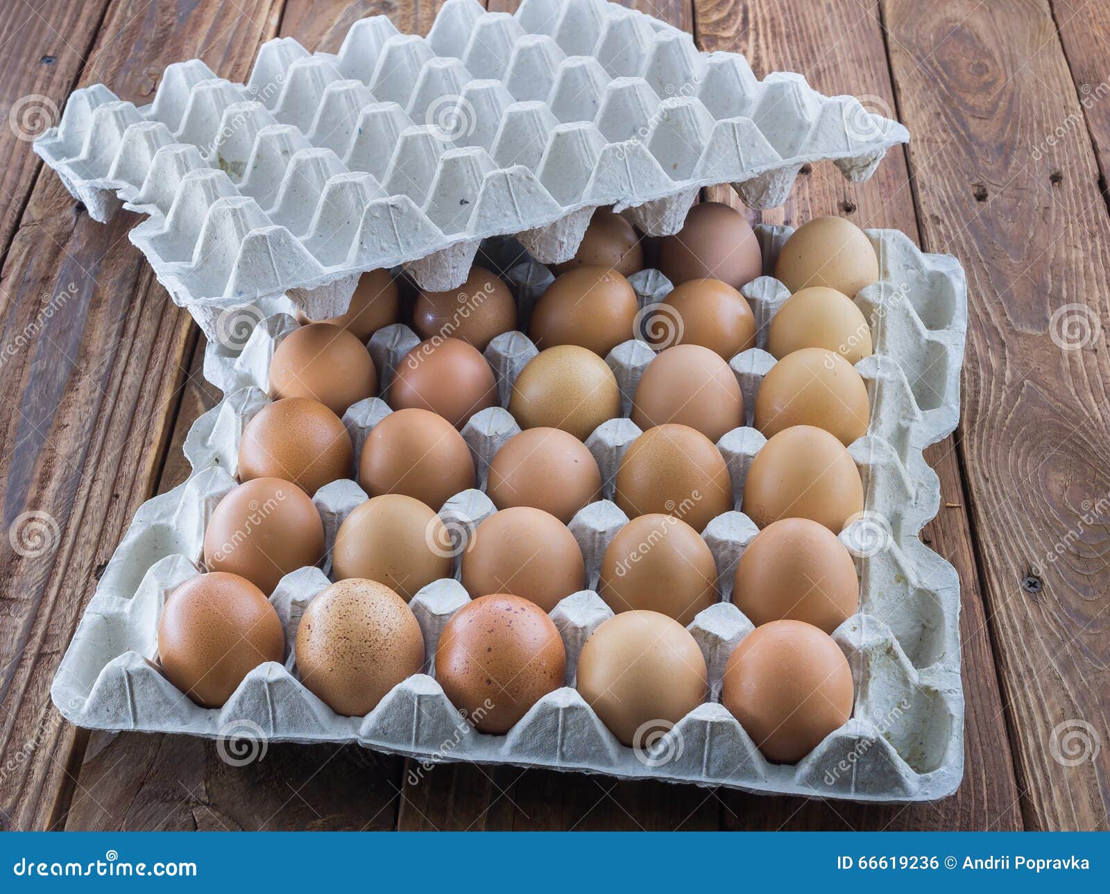 The Cardboard Egg Tray with Brown Chicken Eggs Stock Photo Image of