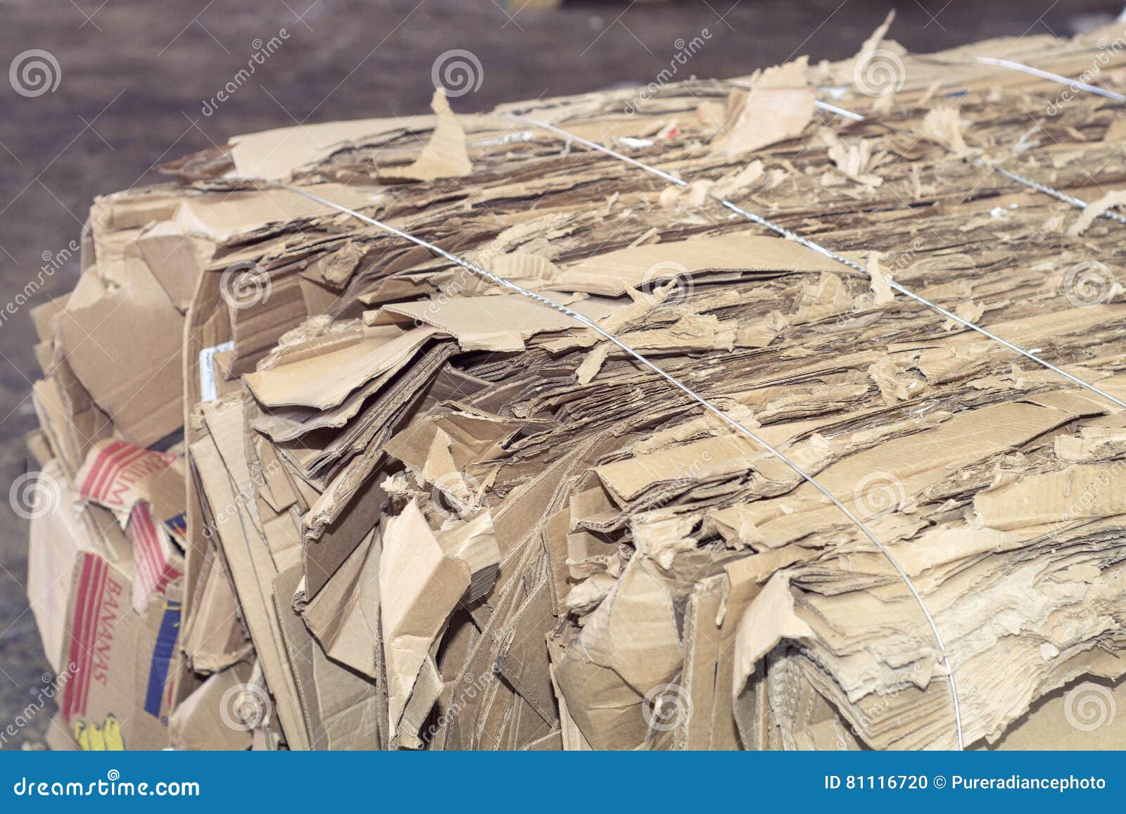 Cardboard And Plastic Baled And Ready To Recycle Stock Photography