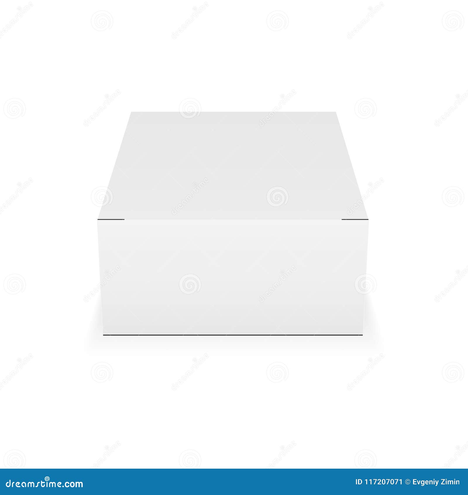 Download Cardboard Rectangular Box Mock Up Stock Vector ...