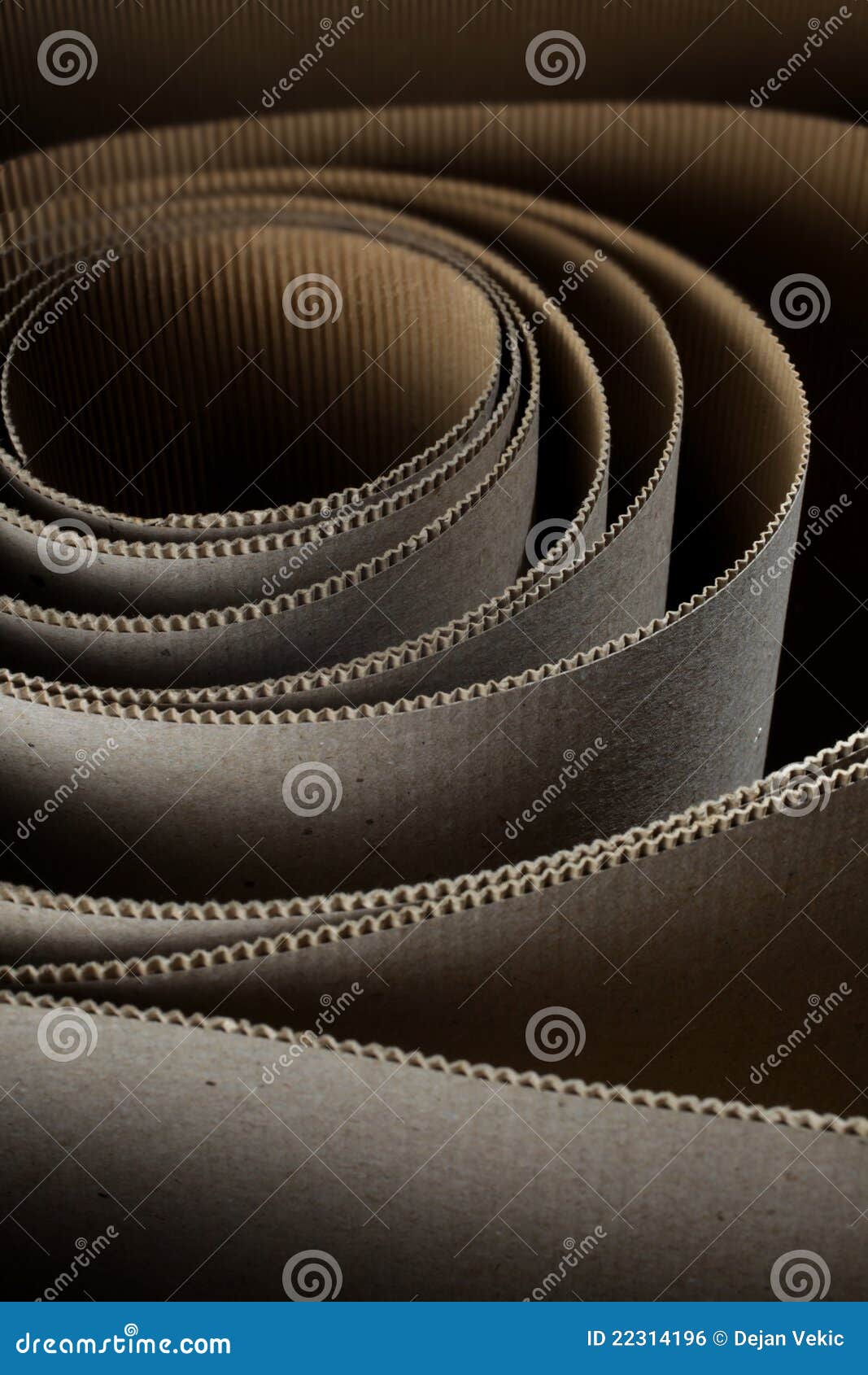 Cardboard roll stock photo. Image of texture, waves, roll 22314196